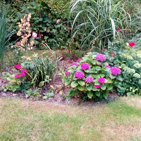 Διαμέρισμα Haus Ebeling *