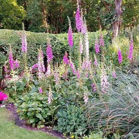 Haus Ebeling * Norderney