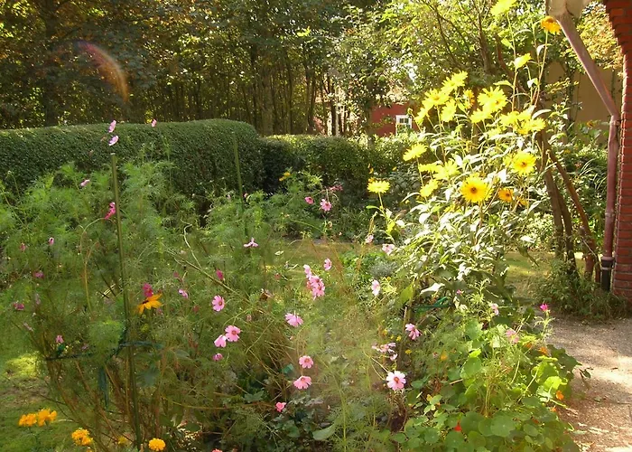 Haus Ebeling Norderney